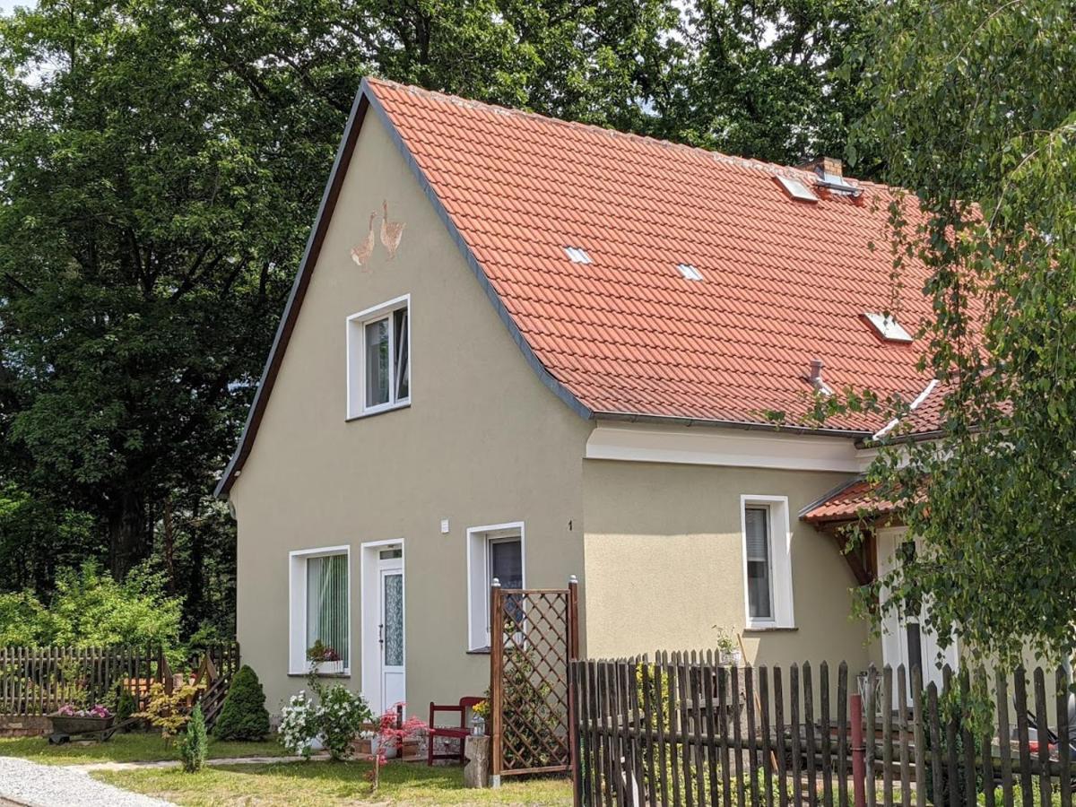 Helenes Ferienwohnung Auf Dem Bauernhof - Lausitzer Seenland Lauta 外观 照片
