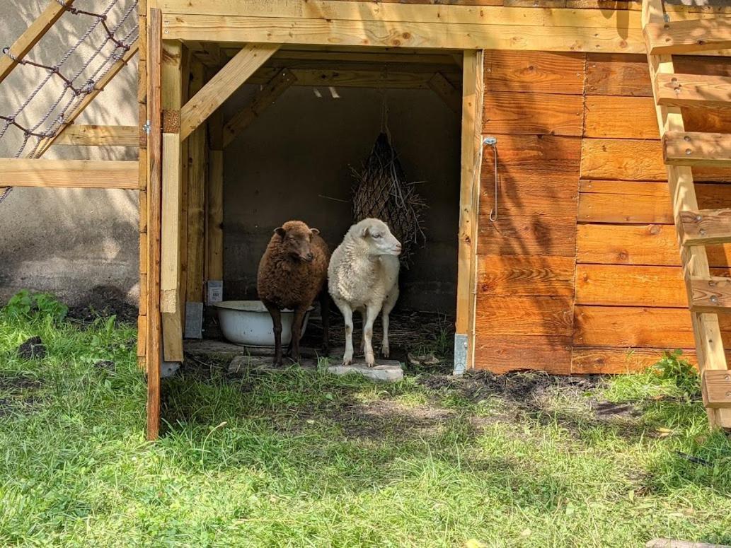Helenes Ferienwohnung Auf Dem Bauernhof - Lausitzer Seenland Lauta 外观 照片